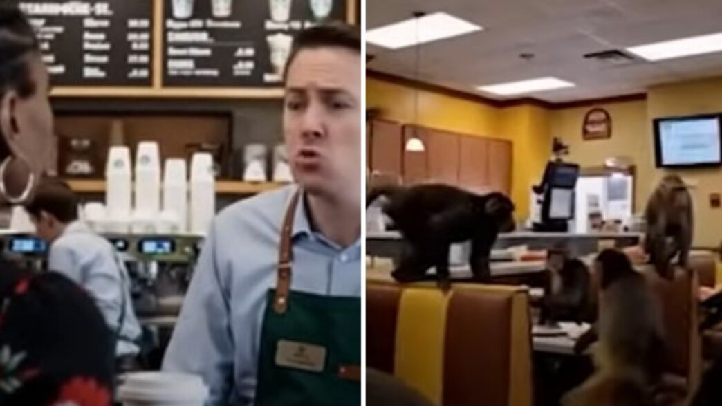 סרטונים גזעניים AI סרטונים גזעניים AI