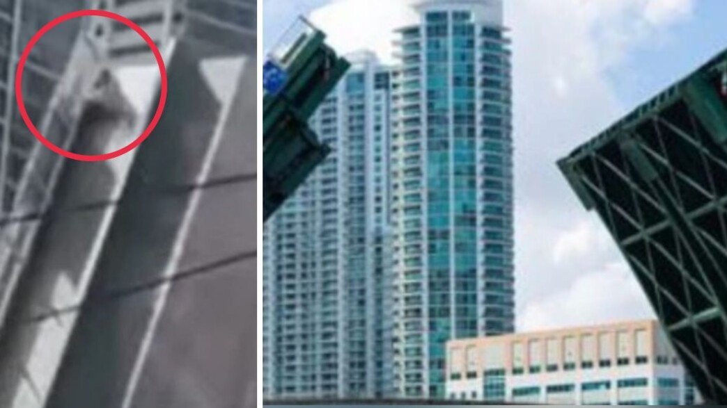 האישה שנפלה מהגשר