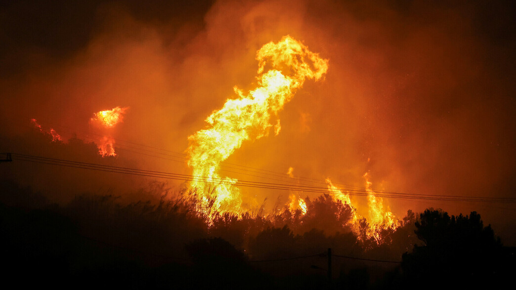 שרפה בכריתים שרפה בכריתים