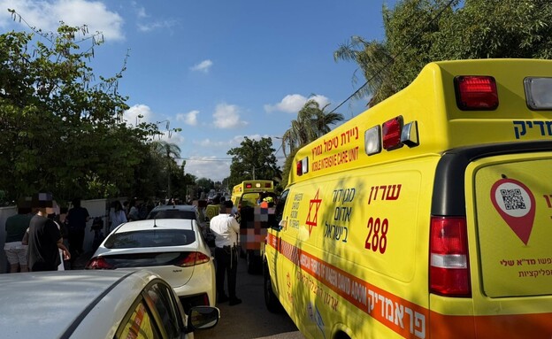 צוותי מד