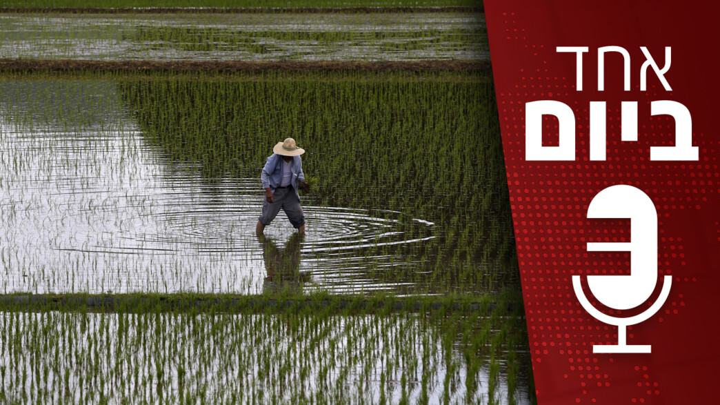 אחד ביום - 06.07.2025 אחד ביום - 06.07.2025