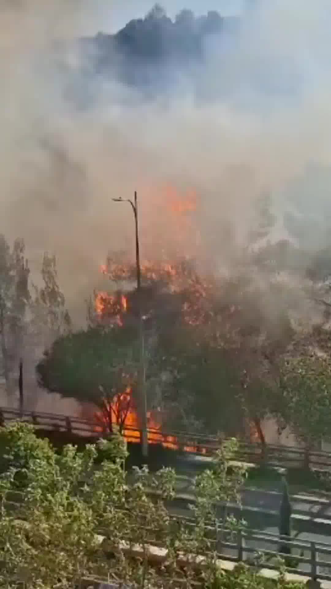 שריפת קוצים פרצה בשמורת עין לב שבירושלים - צוותי כיבוי פועלים למניעת התפשטותה