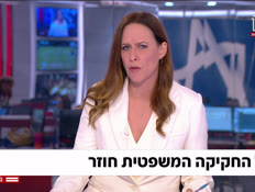 20gal_vtr2_n20250706_v1 (צילום: חדשות)