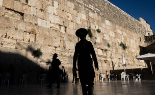 הכותל המערבי (צילום: חיים גולדברג, פלאש 90)
