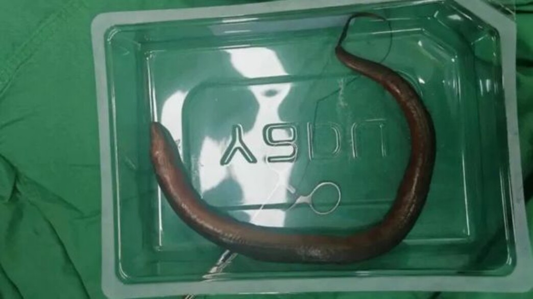 חונאן חונאן