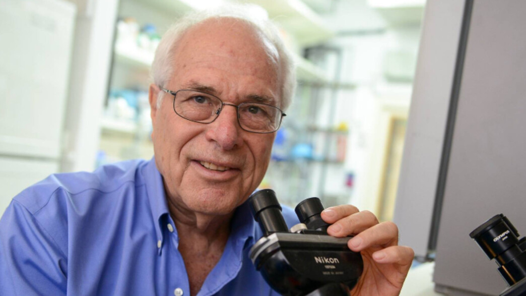 פרופ' זליג אשחר