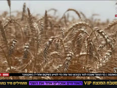 20kfar_vtr2_n20250707_v1 (צילום: חדשות)