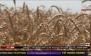 20kfar_vtr2_n20250707_v1 (צילום: חדשות)