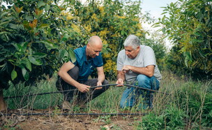 נטפים (צילום: נטפים ישראל)