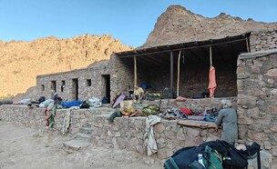 לינה בסמוך לבוסתן (צילום: אורלי גנוסר)