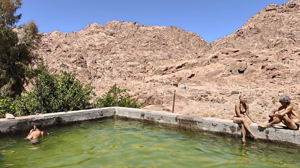 עוד בריכה בבוסתן