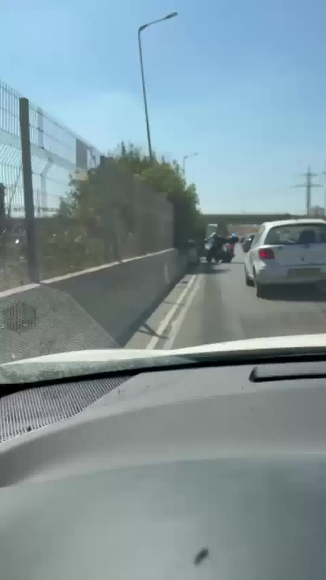 הסיבה לפקק בכביש 1 לכיוון ירושלים: אמא ברווזה ואפרוחים שנזקקו לליווי משטרתי