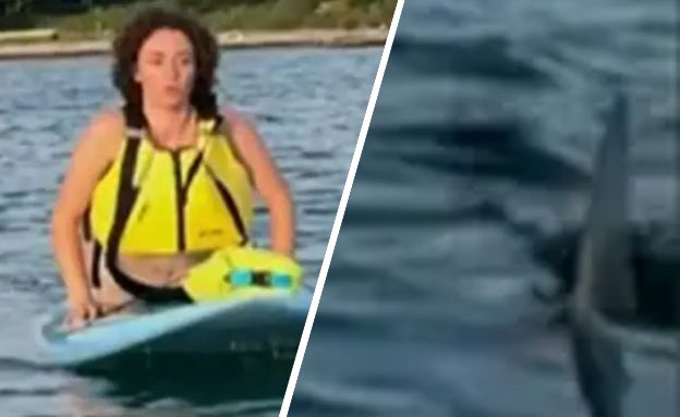 קייפ קוד (צילום: מתוך הרשתות החברתיות לפי סעיף 27א׳ לחוק זכויות יוצרים)