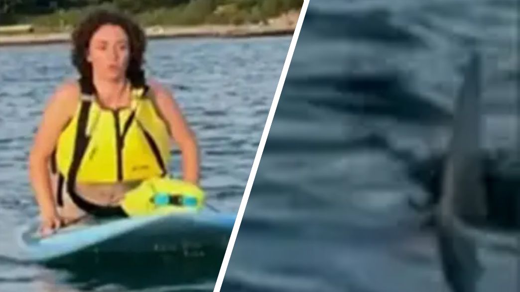 קייפ קוד קייפ קוד