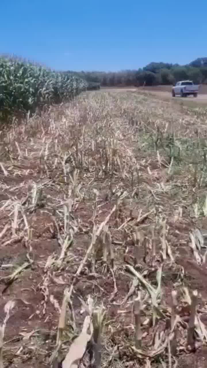 נהג הקומביין שמצא באמצע השדה רכב - שנגנב השבוע