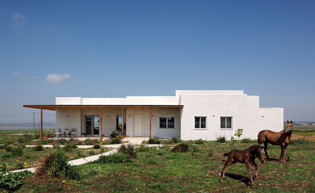 בית ברמת הגולן, עיצוב לני שריר (צילום: שי אפשטיין)
