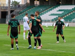 (אתר מכבי חיפה) (צילום: ספורט 5)