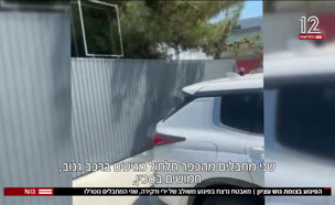 20piguaaa_vtr2_n20250710_v1 (צילום: חדשות)