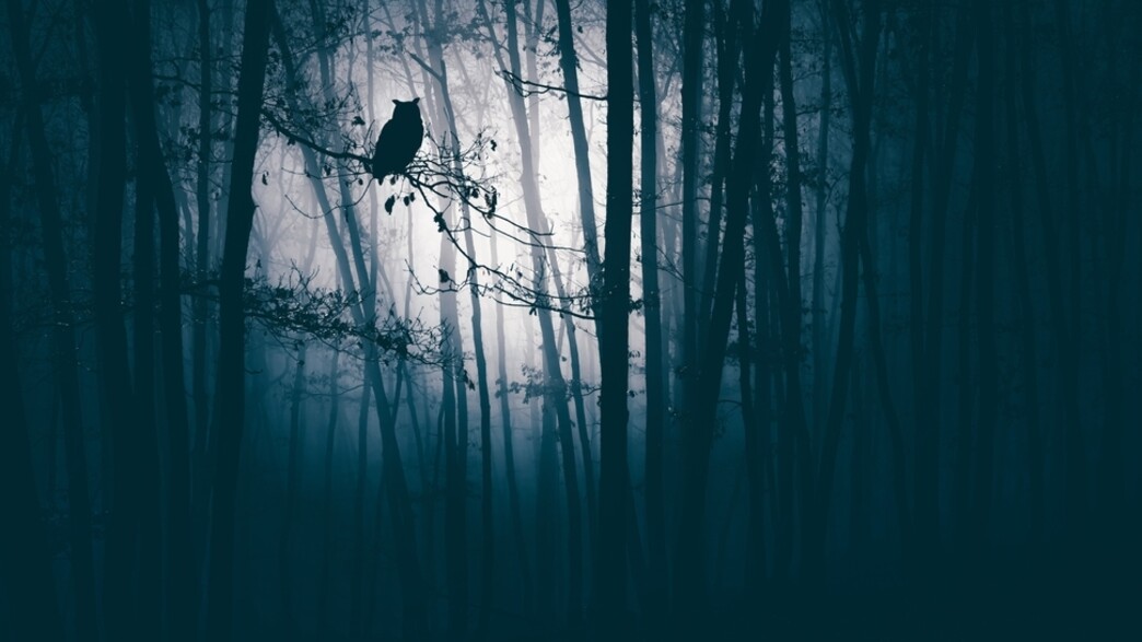 חידון דוידסון