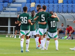 (האתר הרשמי של מכבי חיפה) (צילום: ספורט 5)