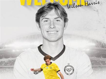 (צילום: מכבי נתניה) (צילום: מכבי נתניה)