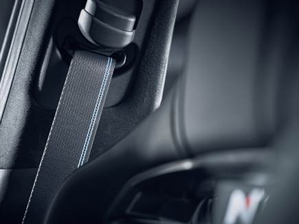 ויש גם פסי תכלת בחגורות הבטיחות (צילום: ספורט 5)