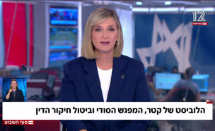 20omrilobist_vtr2_n20250712_v2 (צילום: חדשות)