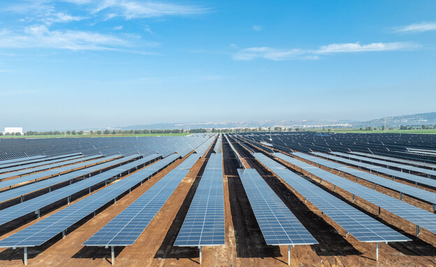 פרויקט תענך פרויקט תענך