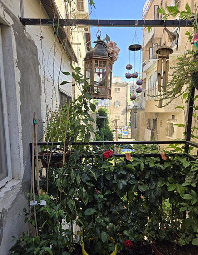 מרפסת קטנטנה לפני (צילום: נתנאל שטאוב)
