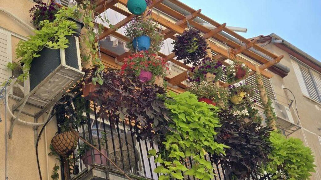 מרפסת קטנטנה מרפסת קטנטנה