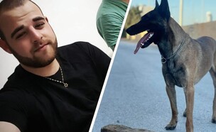 צחי זינגר