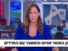 20blockgiyus_vtr2_n20250714_v1 (צילום: חדשות)