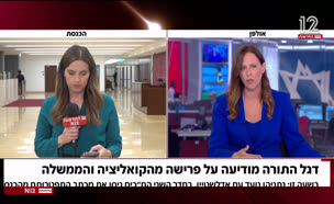 20dafnadegel_vtr2_n20250714_v1 (צילום: חדשות)