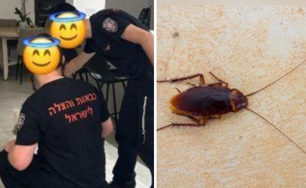 ידידים