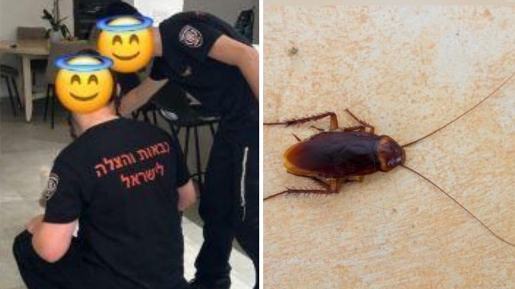 ידידים ידידים