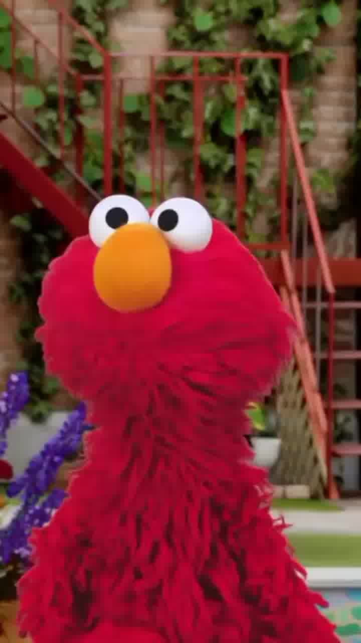 החשבון של אלמו מ״רחוב סומסום״ נפרץ ופורסמו בו פוסטים אנטישמיים: ״להרוג את כל היהודים"
