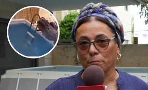 הנכד החל לטבוע - הסבתא זינקה להציל אותו (צילום: מתוך "חדשות הבוקר עם ניב רסקין", קשת 12)