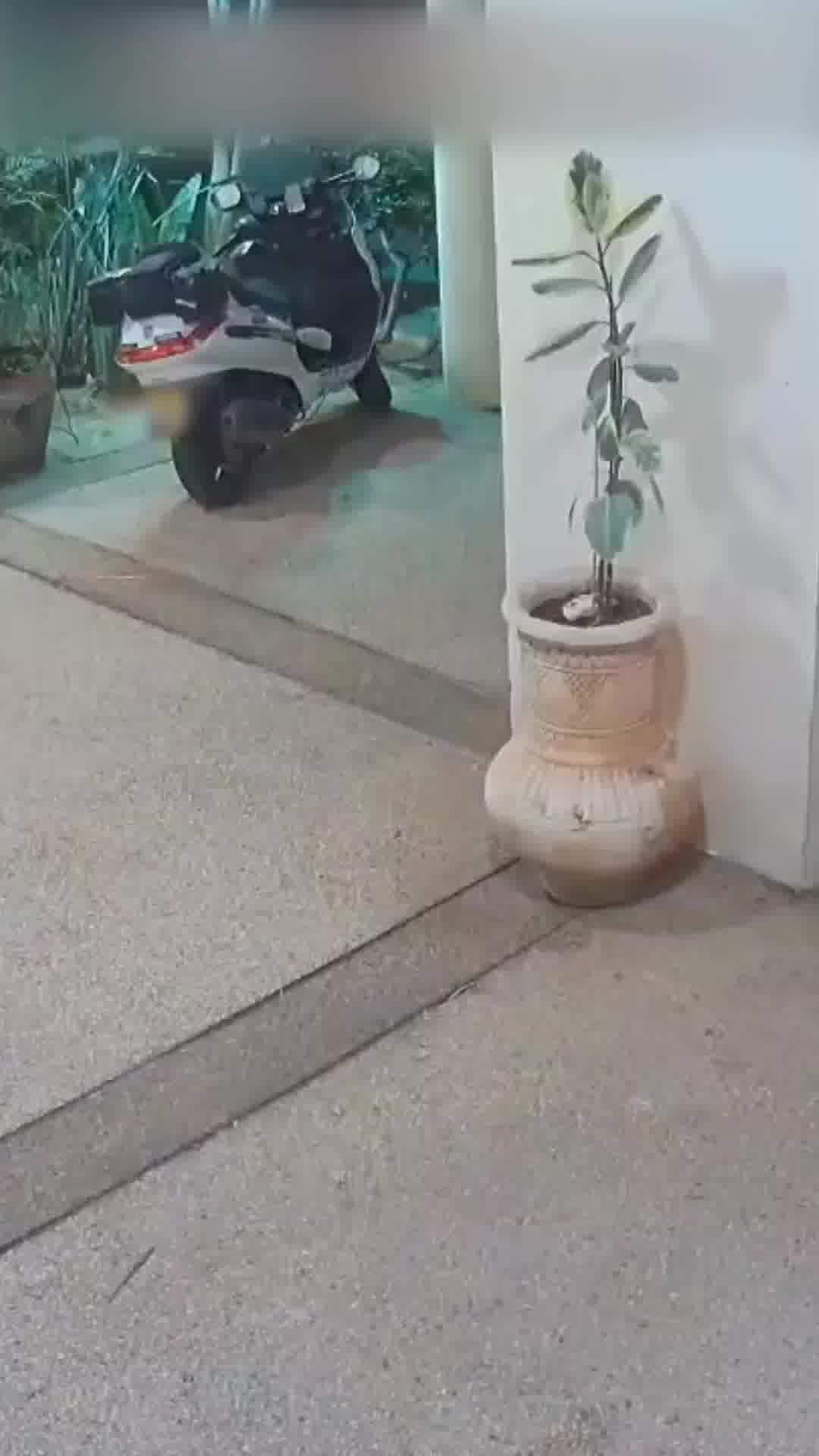 חוקרי היחידה ללוחמה בפשיעה של מרחב דן במשטרת מחוז ת"א סיימו את חקירת החשודים בשוד אלים באור יהודה