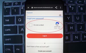 CAPTCHA (צילום: shofiphoto, shutterstock)