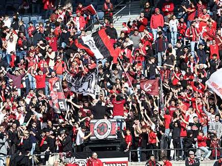 (דני מרון) (דני מרון)