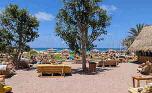 טיול בצפון (צילום: אילן ארנון)