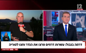 20panelsyria_vtr2_n20250715_v1 (צילום: חדשות)