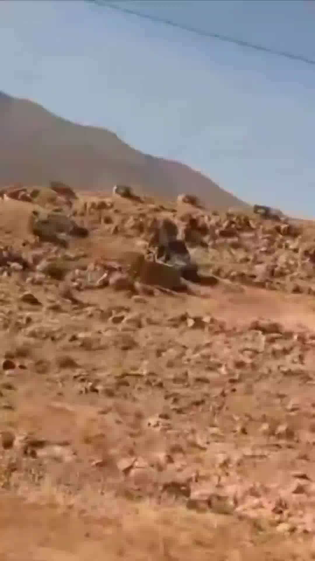 כלים צה"ליים נכנסים לדרום סוריה