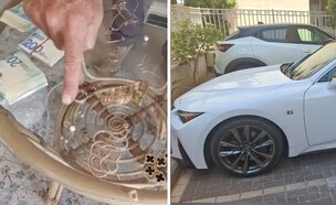 הרכוש שנתפס