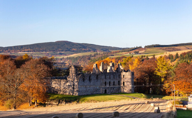 מזקקת בלוויני