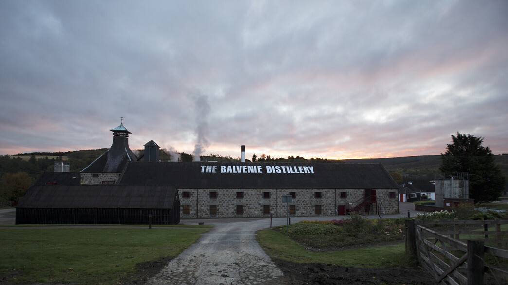 מזקקת בלוויני