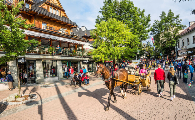 זקופנה פולין זקופנה פולין