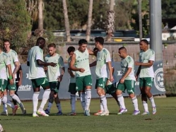 (באדיבות מכבי חיפה) (צילום: ספורט 5)