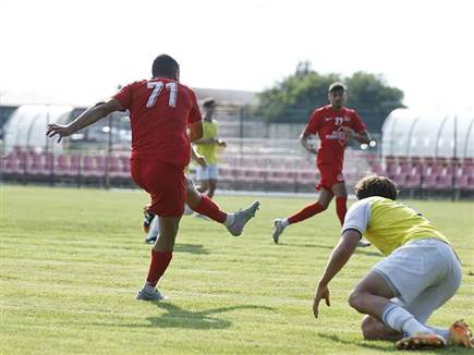 שער נהדר. מחמיד (אתר הפועל תל אביב)