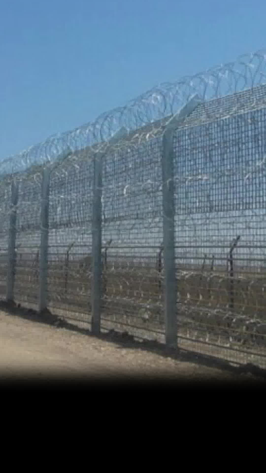 צה"ל: לפני זמן קצר, עשרות אזרחים ישראלים חצו את גדר הגבול לתוך שטח סוריה במרחב מג׳דל שמס
